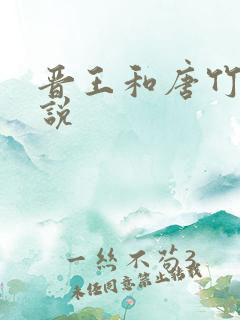 晋王和唐竹筠小说