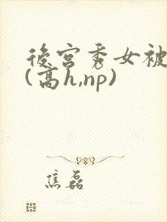 后宫秀女被调教(高h,np)