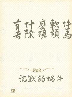 有什么软件可以去除视频马赛克