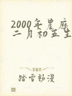 2000年农历二月初五生辰八字