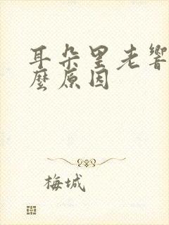 耳朵里老响是什么原因