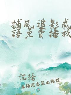 捕风追影成龙国语免费播放