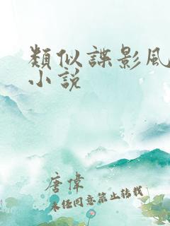 类似谍影风云的小说