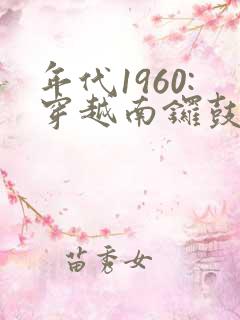 年代1960:穿越南锣鼓巷,小说