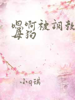 嗯啊被调教成淫母狗