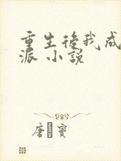 重生后我成了反派 小说