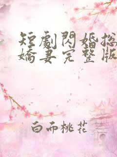 短剧闪婚总裁小娇妻完整版简介