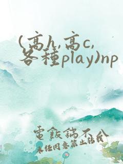 (高h,高c,各种play)np