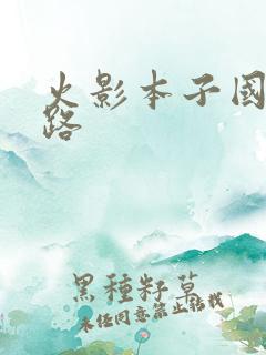 火影本子国产线路