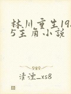 林川重生1985主角小说