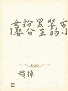 女扮男装古代gl娶公主的小说
