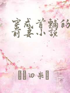穿成首辅的炮灰前妻小说
