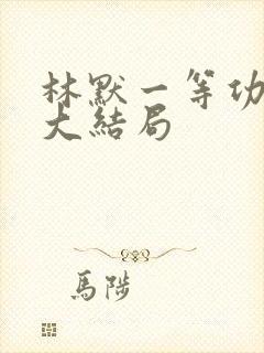 林默一等功小说大结局