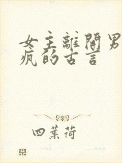 女主离开男主发疯的古言
