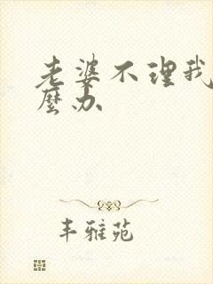 老婆不理我了怎么办