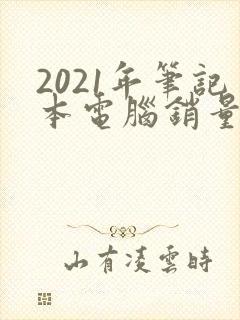 2021年笔记本电脑销量排行榜前十名