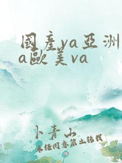 国产va亚洲va欧美va