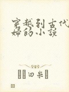 穿越到古代发媳妇的小说