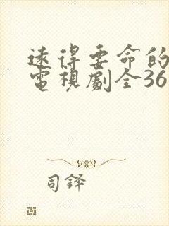 远得要命的爱情电视剧全36集