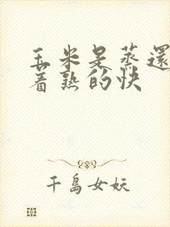 玉米是蒸还是煮着熟的快