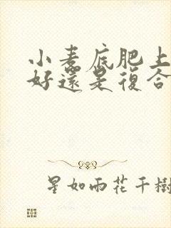 小麦底肥上二铵好还是复合肥好