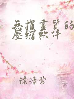 无损画质的视频压缩软件