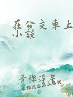 在公交车上被的小说