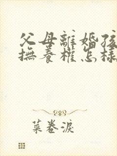 父母离婚孩子的抚养权怎样判给父亲