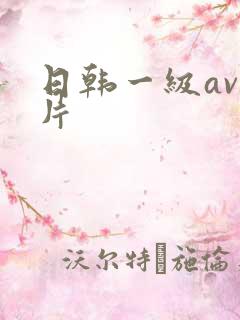 日韩一级av淫片