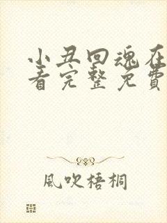 小丑回魂在线观看完整免费高清