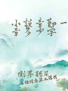 小说章节一般一章多少字