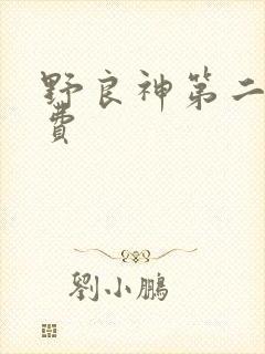 野良神第二季免费