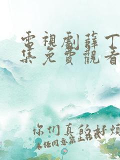 电视剧薛丁山全集免费观看