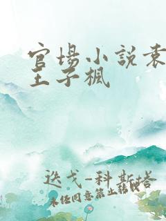 官场小说袁雯洁王子枫