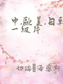 中,欧美,日韩一级片