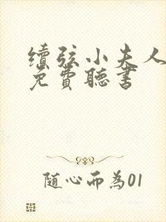 续弦小夫人小说免费听书