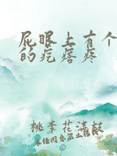 屁眼上有个硬硬的疙瘩疼