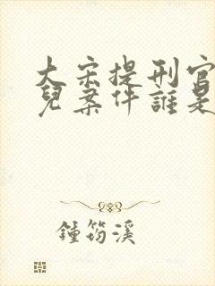 大宋提刑官柳絮儿案件谁是凶手