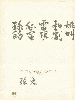 孙红雷和姚晨演的电视剧叫什么名字