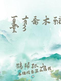夏有乔木雅望天堂 3