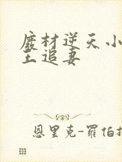 废材逆天小姐邪王追妻