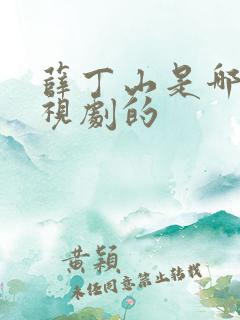 薛丁山是哪部电视剧的