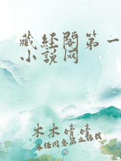 藏经阁第一版主小说网