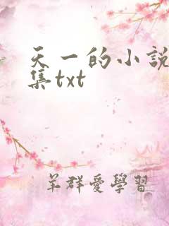 天一的小说作品集txt
