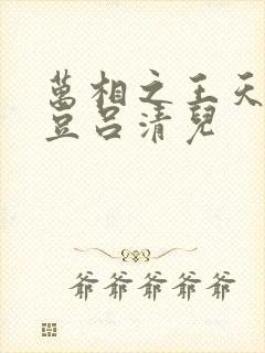 万相之王天蚕土豆吕清儿