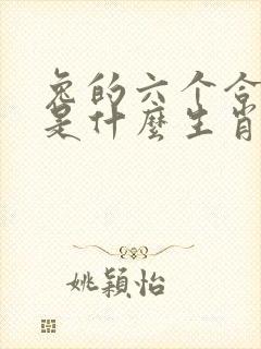 兔的六个合生肖是什么生肖 兔的六个合生肖是什么生肖