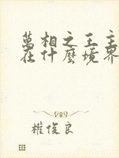 万相之王主角现在什么境界