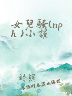女儿骚(np h )小说