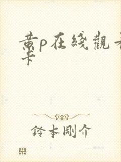 黄p在线观看不卡