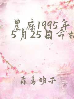 农历1995年5月25日命格